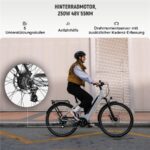 Deruiz 28 Zoll City E Bike 644Wh-Akku Maximal 161km Damen/Herren – E-Bike (Urbanbike), 250 W, 48 V / 13,4 Ah (644 Wh), bis 161 km Reichweite – Bild 3