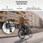 Deruiz Quartz 28 Zoll City Fahrrad 644 Wh Citybike – E-Bike (Citybike), 250 W, 48 V / 13,4 Ah (644 Wh), bis 120 km Reichweite – Bild 3