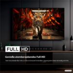 Dyon Ultimax 40F-TI – LED-Fernseher, 40 Zoll, Full HD, 60 Hz – Bild 3