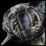Dyson V8 Cyclone kabelloser – Akku-Staubsauger, 465 W, 0,54 l Staubbehälter, bis 60 min Laufzeit – Bild 6