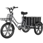 Elekgo 20 Zoll E Bike Dreirad – E-Bike (Lastenrad), 250 W, 48 V / 18 Ah (864 Wh), bis 60 km Reichweite (Art.-Nr. 142725385)