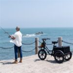 Elekgo 20 Zoll E Bike Dreirad – E-Bike (Lastenrad), 250 W, 48 V / 18 Ah (864 Wh), bis 60 km Reichweite (Art.-Nr. 142725385) – Bild 7