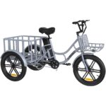 Elekgo 20 Zoll E Bike Dreirad – E-Bike (Lastenrad), 250 W, 48 V / 18 Ah (864 Wh), bis 60 km Reichweite (Art.-Nr. 142725385) – Bild 8