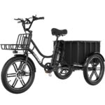 Elekgo 20 Zoll E Bike Dreirad – E-Bike (Lastenrad), 250 W, 48 V / 18 Ah (864 Wh), bis 60 km Reichweite (Art.-Nr. 142725450)