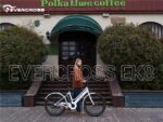 Evercross Tech EK8S 26 ZOLL – E-Bike (Citybike), 250 W, 36 V / 10,4 Ah (432 Wh), bis 90 km Reichweite (Art.-Nr. 137670999) – Bild 8