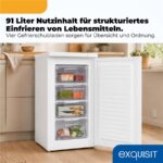 Exquisit GS512-040E weiss – Gefrierschrank, 91 l, Energieeffizienzklasse E – Bild 5