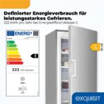 Exquisit GS5271-NF-H-040E – Gefrierschrank, 204 l, Energieeffizienzklasse E, No Frost – Bild 2