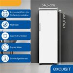 Exquisit GS5271-NF-H-040E weiss – Gefrierschrank, 204 l, Energieeffizienzklasse E, No Frost – Bild 3