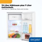 Exquisit KS5117-3-010EweissPV – Kühlschrank, 82 l, Energieeffizienzklasse E – Bild 5