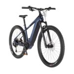 Fischer MONTIS 8.0i ULTIMATE MTB - 29 Zoll – E-Bike (Mountainbike), 36 V / 19,6 Ah (711 Wh), bis 170 km Reichweite