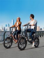 Hillmiles Mileport Kompakt-/Faltrad – E-Bike (Faltrad), bis 100 km Reichweite (Art.-Nr. 154456697) – Bild 6