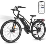 Hitway BK27PRO Citybike – Pedelec (Citybike), 250 W, 48 V / 16 Ah (768 Wh), bis 120 km Reichweite (Art.-Nr. 173773922)