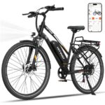 Hitway BK27S Citybike – Pedelec (Citybike), 250 W, 36 V / 13 Ah (468 Wh), bis 100 km Reichweite