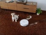 Narwal Flow White Wisch- und – Saugroboter mit Wischfunktion, bis 190 min Laufzeit – Bild 19