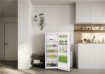 OK. OFR 311 D W – Stehender Vorratsschrank, 242 l, Energieeffizienzklasse D – Bild 3
