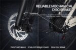 Pixar C1 Citybike – Pedelec (Citybike), bis 120 km Reichweite – Bild 7