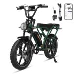 Rcb G19 Citybike – Pedelec (Citybike), 250 W, 48 V / 15,6 Ah (749 Wh), bis 80 km Reichweite (Art.-Nr. 155290140)