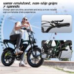 Rcb G19 Citybike – Pedelec (Citybike), 250 W, 48 V / 15,6 Ah (749 Wh), bis 80 km Reichweite (Art.-Nr. 155290140) – Bild 7