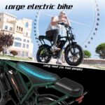 Rcb G19 Citybike – Pedelec (Citybike), 250 W, 48 V / 15,6 Ah (749 Wh), bis 80 km Reichweite (Art.-Nr. 155290140) – Bild 8
