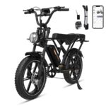 Rcb G19 Citybike – Pedelec (Citybike), 250 W, 48 V / 15,6 Ah (749 Wh), bis 80 km Reichweite (Art.-Nr. 155290141)