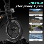 Rcb G19 Citybike – Pedelec (Citybike), 250 W, 48 V / 15,6 Ah (749 Wh), bis 80 km Reichweite (Art.-Nr. 155290141) – Bild 4