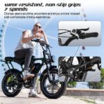 Rcb G19 Citybike – Pedelec (Citybike), 250 W, 48 V / 15,6 Ah (749 Wh), bis 80 km Reichweite (Art.-Nr. 155290141) – Bild 7