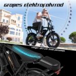 Rcb G19 Citybike – Pedelec (Citybike), 250 W, 48 V / 15,6 Ah (749 Wh), bis 80 km Reichweite (Art.-Nr. 155290141) – Bild 8