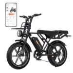 Rcb G19 DP Citybike – E-Bike (Citybike), 250 W, 1040 Wh, bis 130 km Reichweite (Art.-Nr. 157966761)