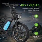 Rcb G19 DP Citybike – E-Bike (Citybike), 250 W, 1040 Wh, bis 130 km Reichweite (Art.-Nr. 157966761) – Bild 3