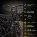 Rcb G19 DP Citybike – E-Bike (Citybike), 250 W, 1040 Wh, bis 130 km Reichweite (Art.-Nr. 157966761) – Bild 5