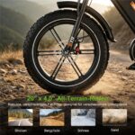 Rcb G19 DP Citybike – E-Bike (Citybike), 250 W, 1040 Wh, bis 130 km Reichweite (Art.-Nr. 157966761) – Bild 8