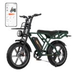 Rcb G19 DP Citybike – E-Bike (Citybike), 250 W, 1040 Wh, bis 130 km Reichweite (Art.-Nr. 158542726)