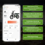 Rcb G19 DP Citybike – E-Bike (Citybike), 250 W, 1040 Wh, bis 130 km Reichweite (Art.-Nr. 158542726) – Bild 7