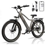 Rcb G5 Citybike – Pedelec (Citybike), 250 W, 36 V / 13 Ah (468 Wh), bis 80 km Reichweite (Art.-Nr. 166968782)