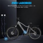 Rcb G5 Citybike – Pedelec (Citybike), 250 W, 36 V / 13 Ah (468 Wh), bis 80 km Reichweite (Art.-Nr. 166968782) – Bild 11