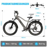Rcb G5 Citybike – Pedelec (Citybike), 250 W, 36 V / 13 Ah (468 Wh), bis 80 km Reichweite (Art.-Nr. 166968782) – Bild 8