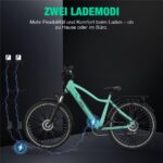 Rcb G5 Citybike – Pedelec (Citybike), 250 W, 36 V / 13 Ah (468 Wh), bis 80 km Reichweite (Art.-Nr. 166968825) – Bild 11