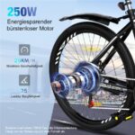 Rcb RK15 Mountainbike – E-Bike (Mountainbike), 250 W, 36 V / 10,4 Ah (374 Wh), bis 50 km Reichweite (Art.-Nr. 173002181) – Bild 4