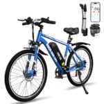 Rcb RK15 Mountainbike – E-Bike (Mountainbike), 250 W, 36 V / 10,4 Ah (374 Wh), bis 50 km Reichweite (Art.-Nr. 173002194)