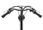 Telefunken Expedition XT481 Trekkingrad – E-Bike (Trekkingrad), bis 70 km Reichweite – Bild 4