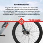 Telefunken M921 Mountainbike – E-Bike (Mountainbike), bis 100 km Reichweite (Art.-Nr. 142278373) – Bild 7
