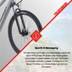 Telefunken MT922 Aluminiumgrau Mountainbike – Pedelec (Mountainbike), bis 100 km Reichweite – Bild 10