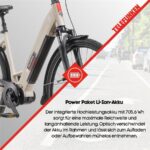 Telefunken Multitalent RC680 Citybike – E-Bike (Citybike), bis 140 km Reichweite – Bild 10