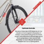 Telefunken Urban UH210 Damen Citybike – Pedelec (Citybike), bis 100 km Reichweite – Bild 10
