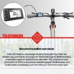 Telefunken Urban UH210 Damen Citybike – Pedelec (Citybike), bis 100 km Reichweite – Bild 11