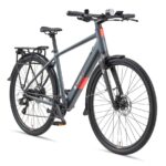 Telefunken Urban UH210 Herren Citybike – Pedelec (Citybike), bis 100 km Reichweite