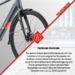 Telefunken Urban UH210 Herren Citybike – Pedelec (Citybike), bis 100 km Reichweite – Bild 10