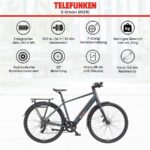 Telefunken Urban UH210 Herren Citybike – Pedelec (Citybike), bis 100 km Reichweite – Bild 5