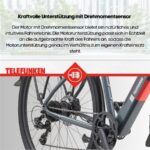 Telefunken Urban UH210 Herren Citybike – Pedelec (Citybike), bis 100 km Reichweite – Bild 9